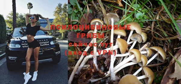 метадон Лиски