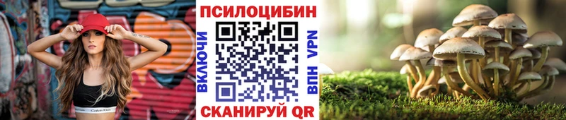 Галлюциногенные грибы Magic Shrooms  Новотроицк 