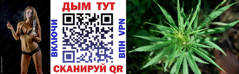 Канабис планчик Новотроицк